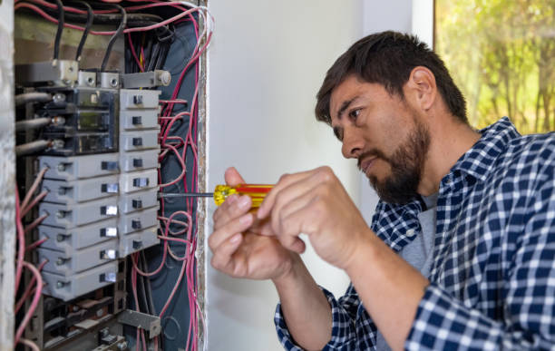 Best Electric Panel Repair  in Troy, MO